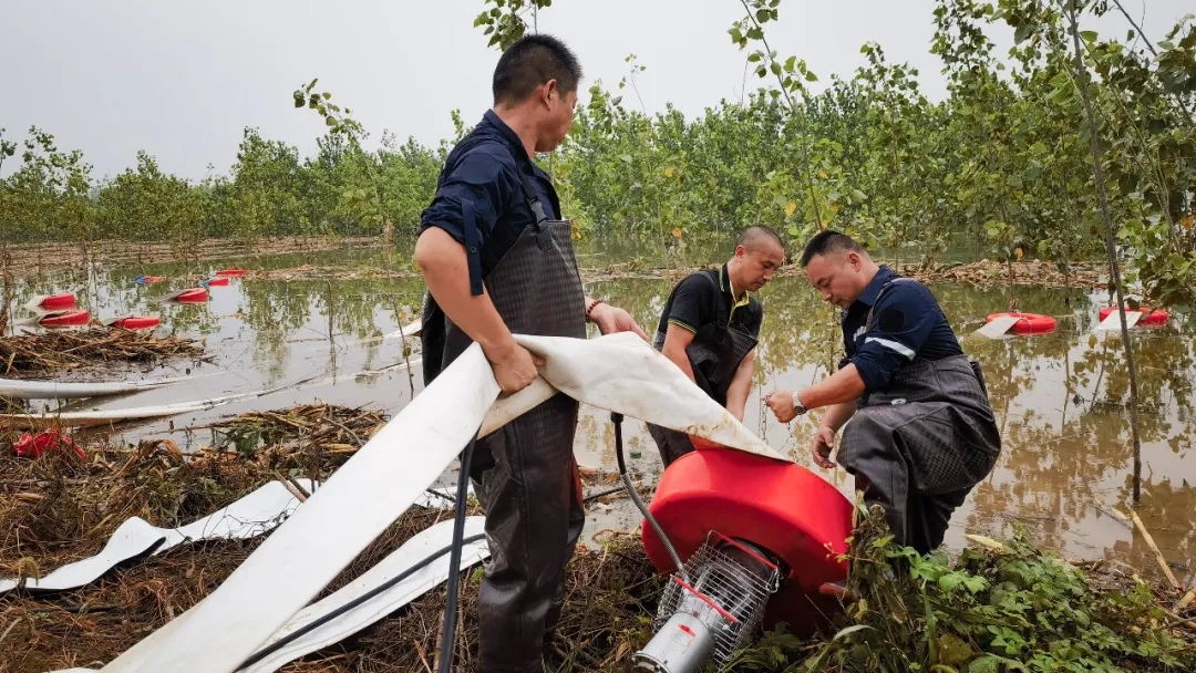 【救援先鋒】俯身勞作不言多的孺子?！獎詷?></div>
                                <div   id=