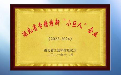 評(píng)定為湖北省專精特新“小巨人”企業(yè)
